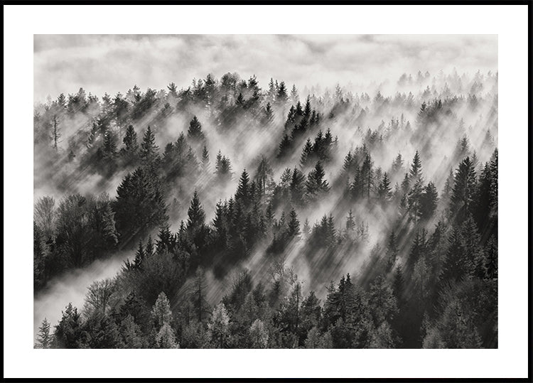 Sundance n ° 1 Poster