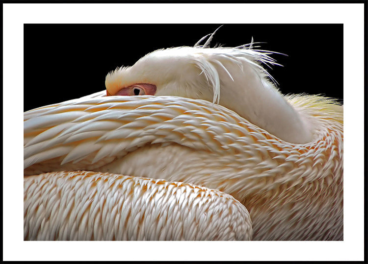 Être à moitié endormi...