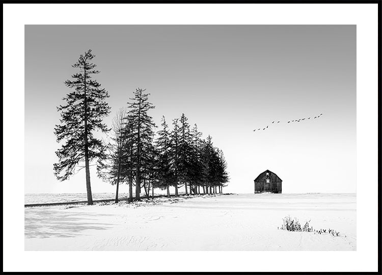 Une journée d’hiver ensoleillée Poster