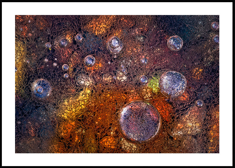L'hiver à l'automne