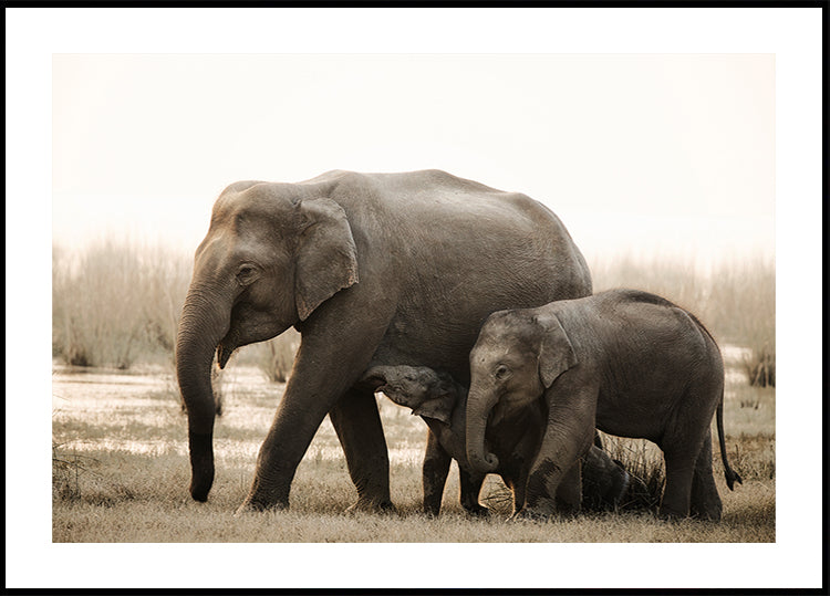 Portrait de famille Poster