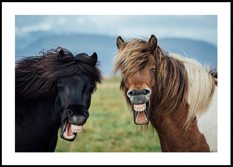 SOURIRE SAUVAGE