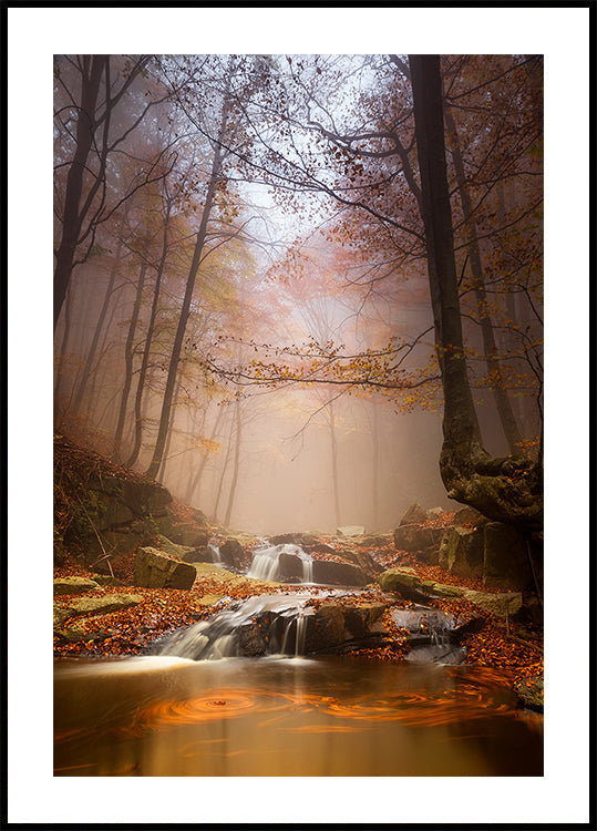 Brume brumeuse Poster