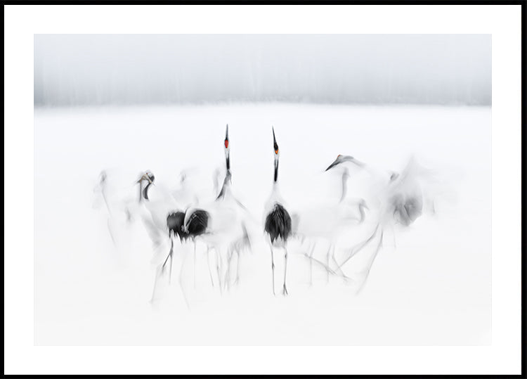 Ballet calligraphique Poster