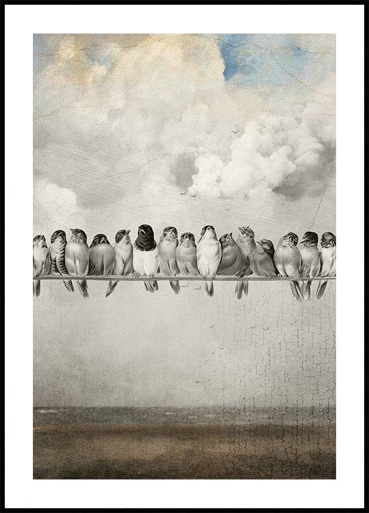Tous les jolis oiseaux Poster