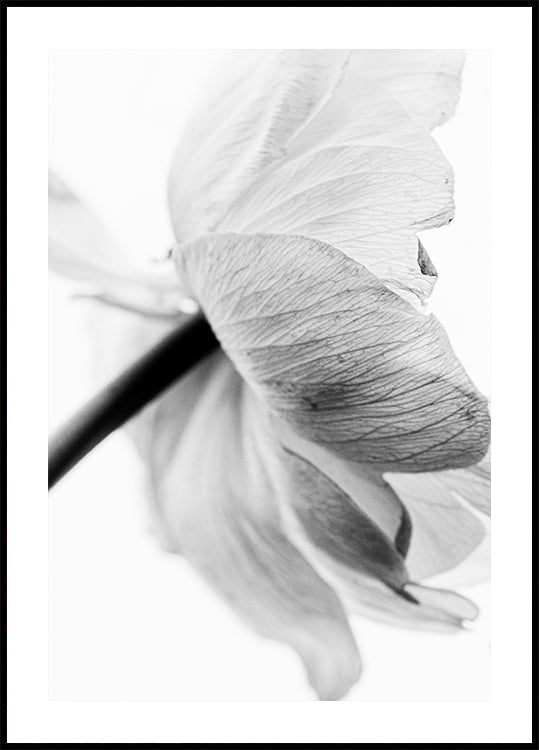 Fleur en fleurs Poster