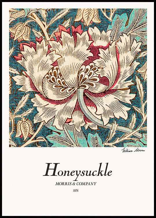 Chèvrefeuille Poster