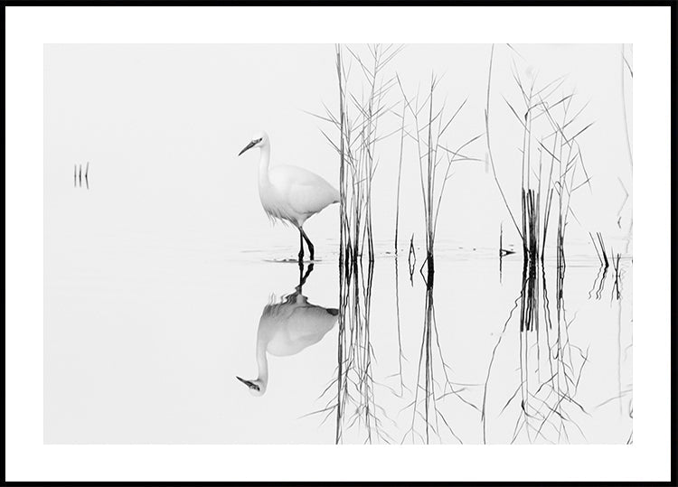blanc