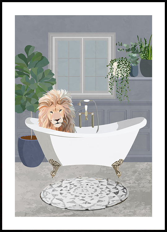 Lion prend un bain Poster