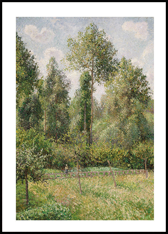 Affiche Peupliers d'Éragny de Camille Pissarro 