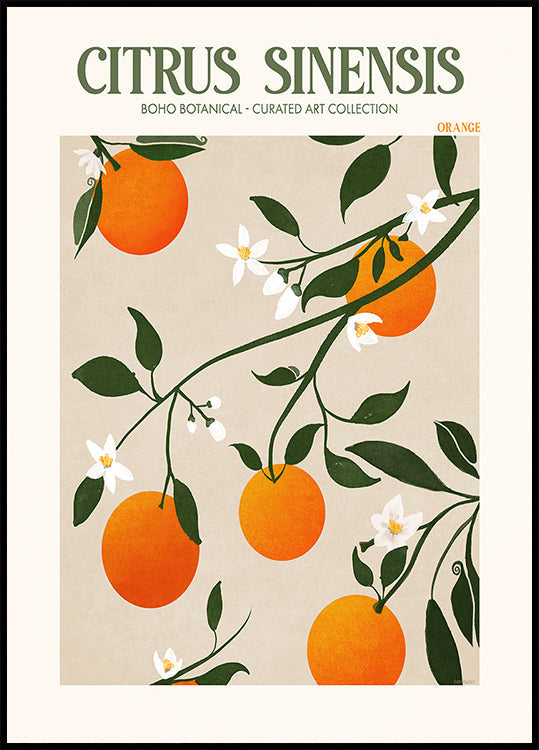 Élégance orange Poster