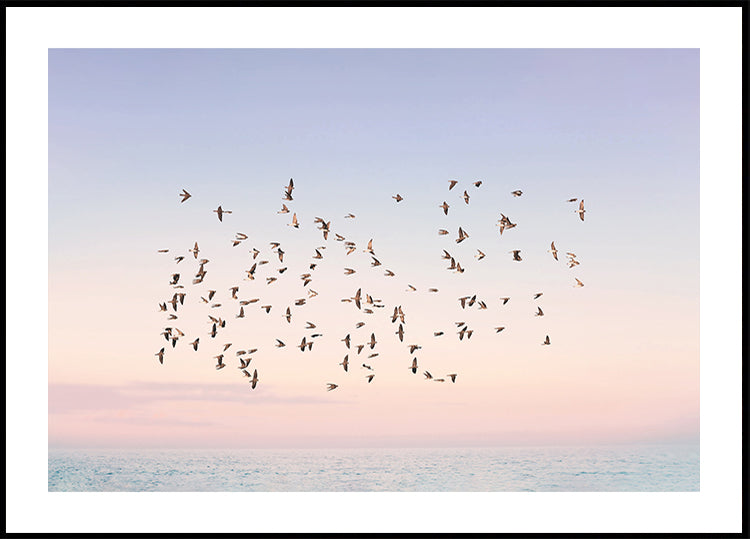 Vol au coucher du soleil Poster