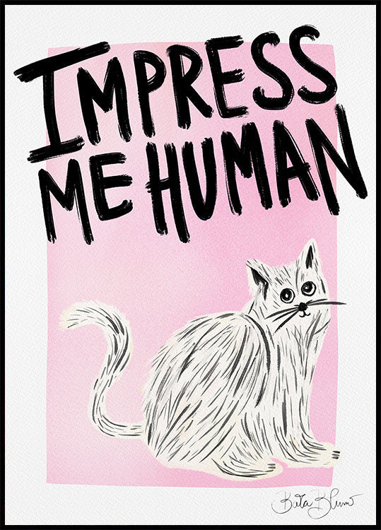 Propriétaire de chat - Impressionnez-moi humain Poster