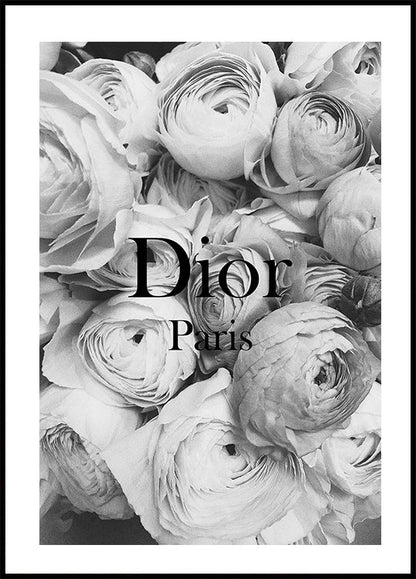 Affiche Renoncules Dior 