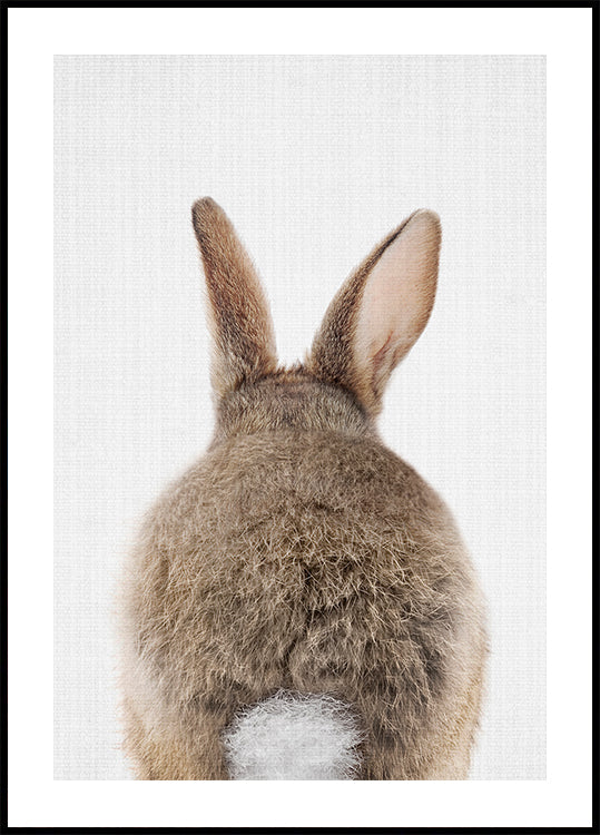 Queue de lapin Peekaboo Poster