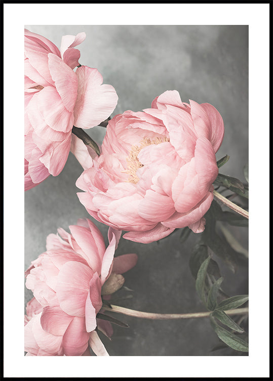 01643 Affiche