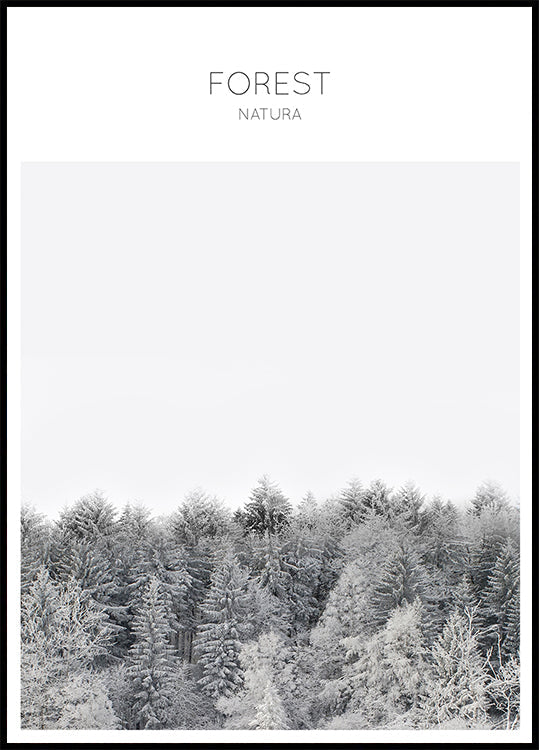 Tranquillité givrée (NOUVEAU)