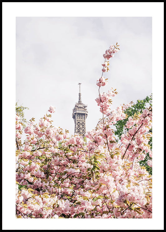 Affiche de Paris 