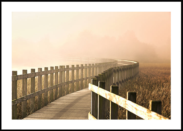 Le Chemin devient plus lumineux.