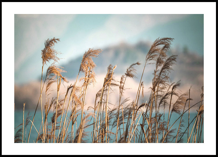 Reeds By The Lake Plakat - Posterbox.dk