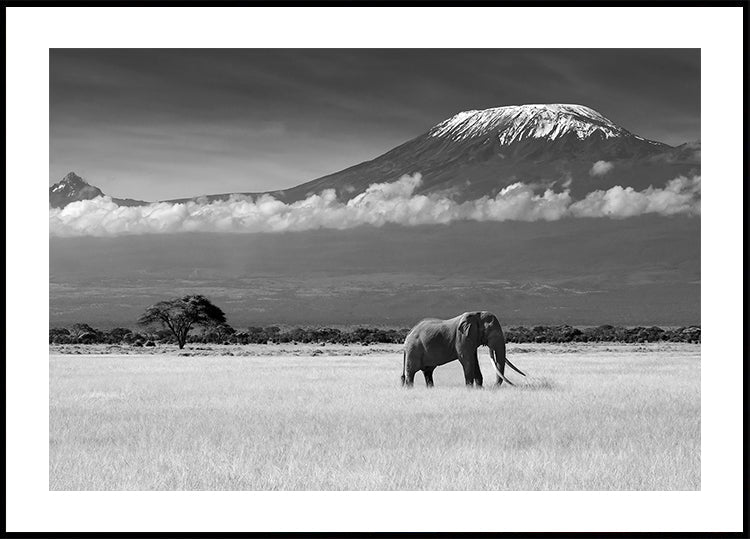 Couleurs perdues II Poster