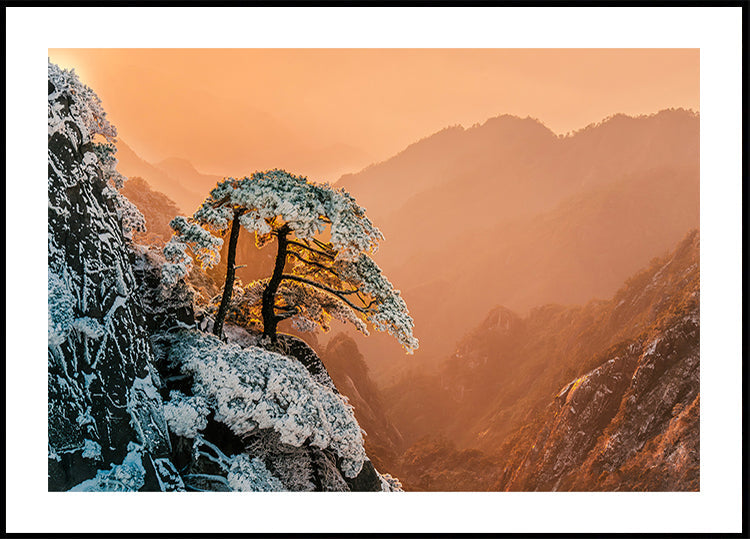 La résilience à la limite Poster