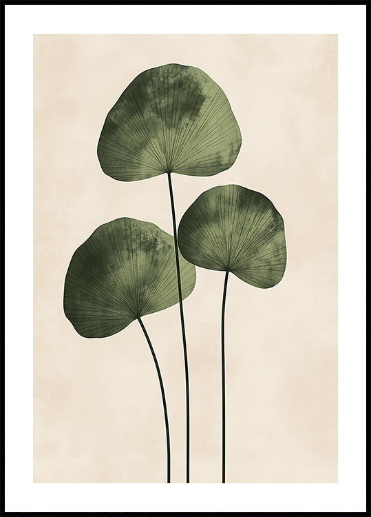Feuilles vertes avec des veines délicates Poster