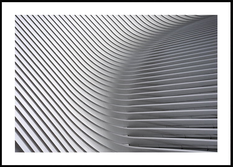 Courbes de Calatrava #2 Poster