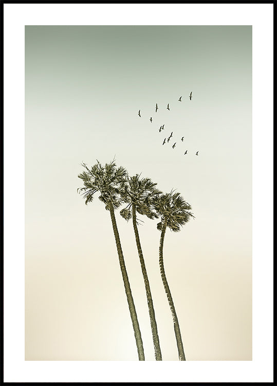 Palmiers minimalistes vintage et coucher de soleil Poster
