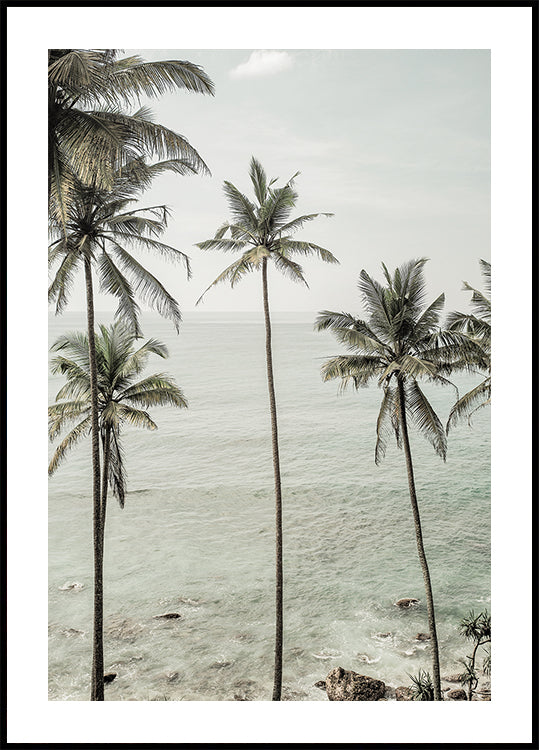Rêves tropicaux Poster