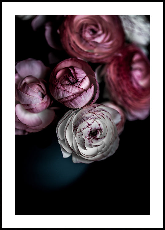 Fleurs sombres 2