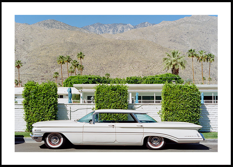Balade à Palm Springs