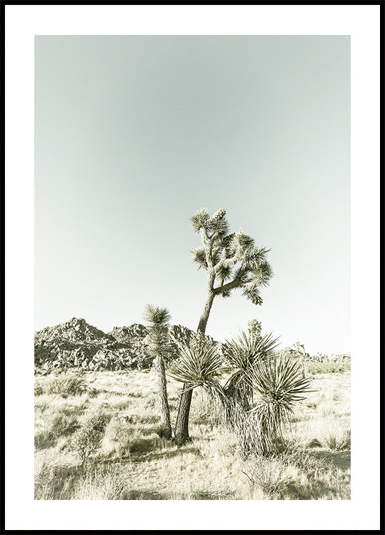 Impression vintage du parc national de Joshua Tree Poster