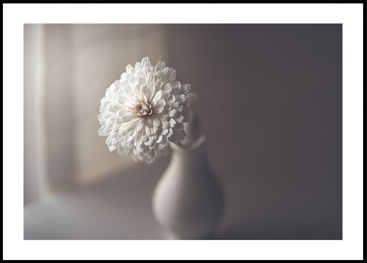 lumière de fenêtre