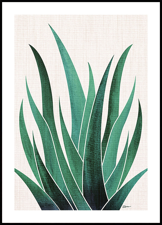 Cactus d'agave du désert Poster