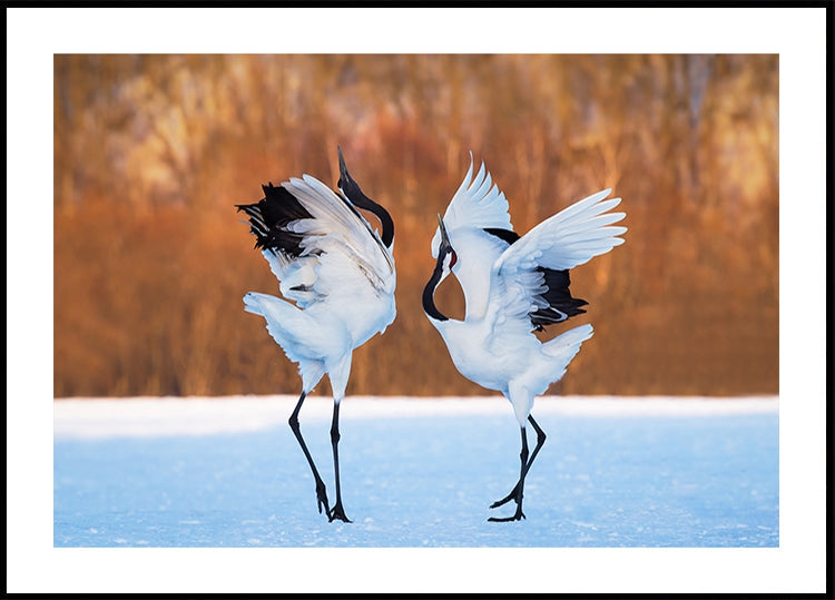 La danse de l'amour Poster