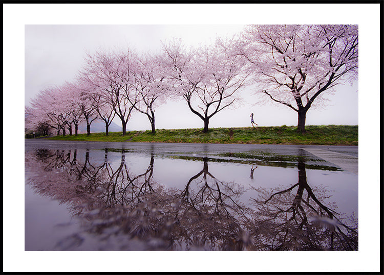 Pluie de printemps