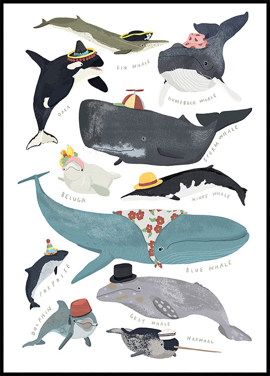 Baleines en chapeaux Poster