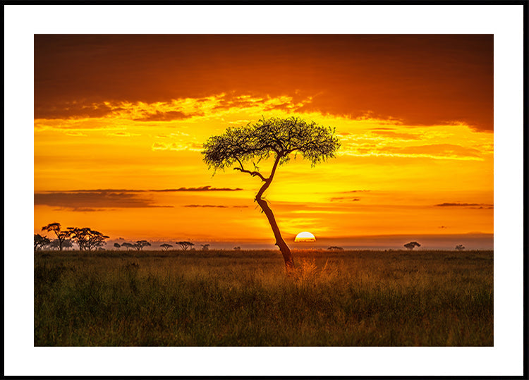 Afrique Primordiale Poster