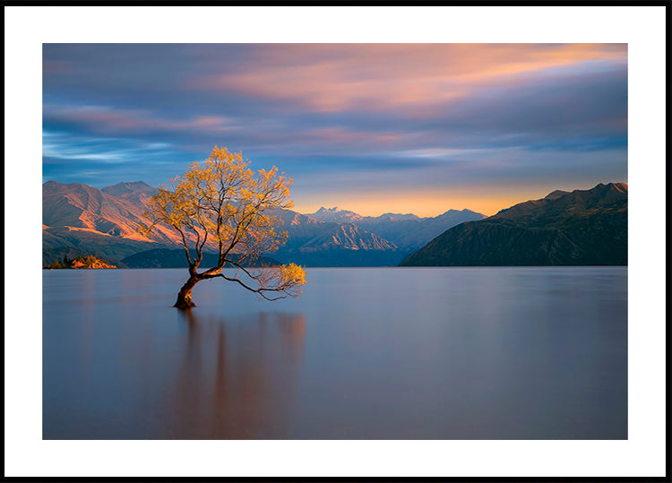 Lueur du matin Poster