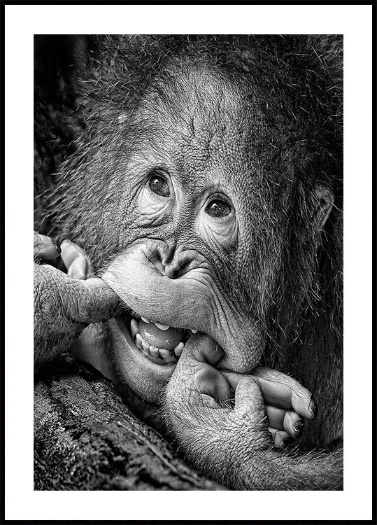 Grand sourire ..... s'il vous plaît Poster