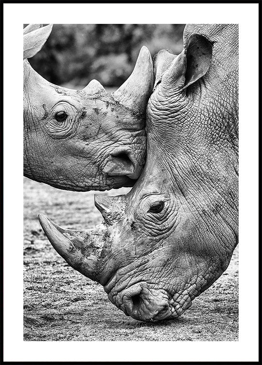 Face à face