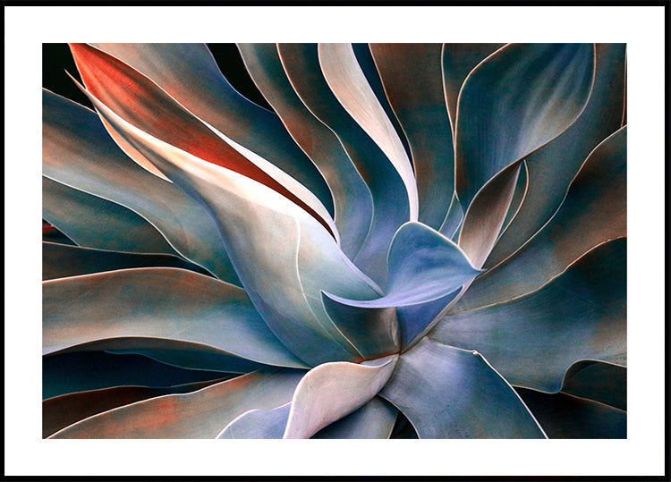 Les couleurs des feuilles Poster