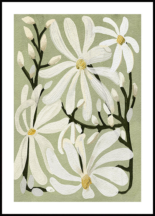 Poster Fleurs de magnolia étoilé sur fond de sauge