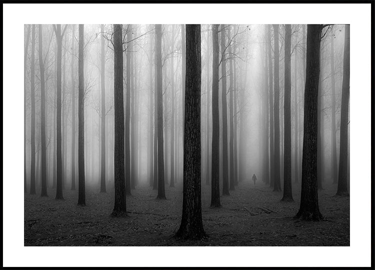 Dans un brouillard