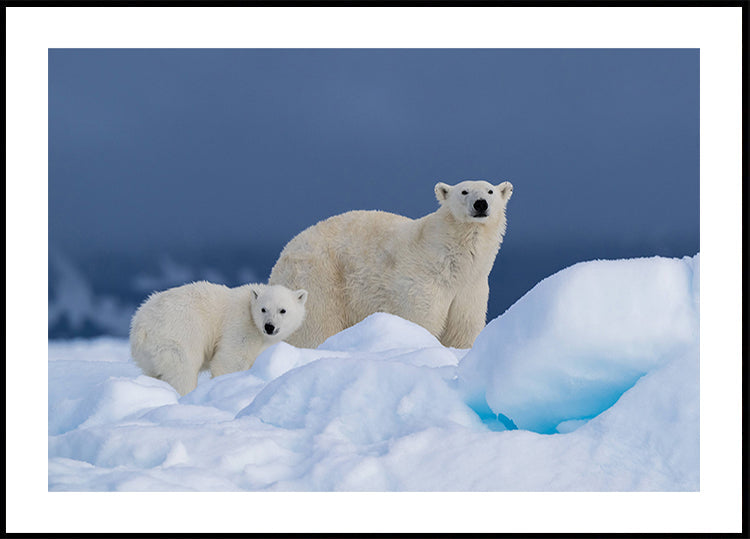 Maman et bébé Poster