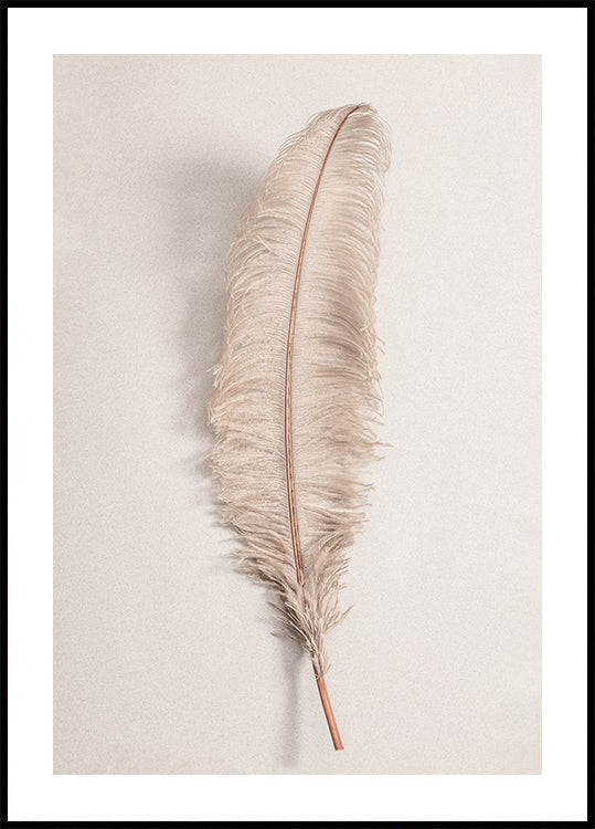 Plume n ° 2 Poster