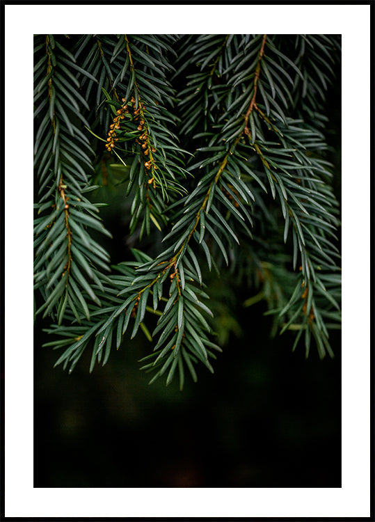 Branches d'hiver 7 Poster
