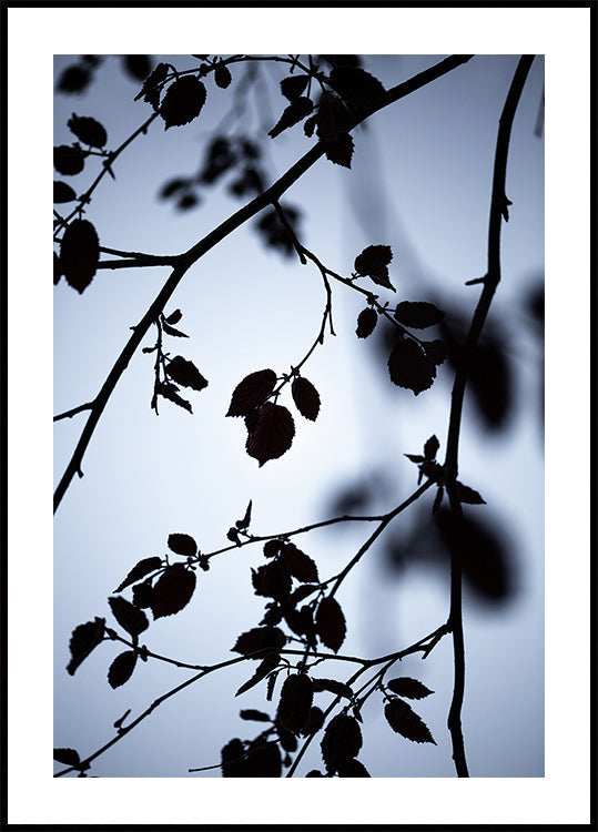 L'aube