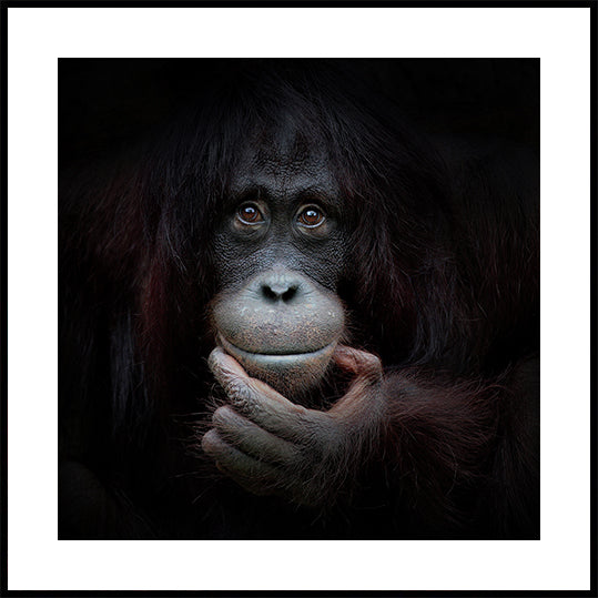 L'IMAGE MIROIR Poster